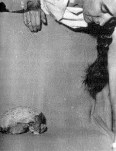 Barbara Harrisson