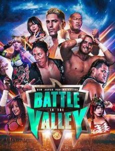 Battle in the Valley (2025)