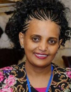 Birtukan Mideksa