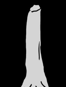 Yatenavis