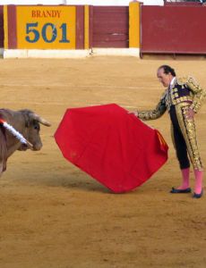 Frank Evans (bullfighter)