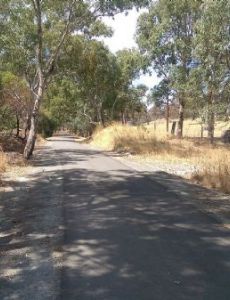 Amy Gillett Bikeway