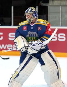 Robert Hestmann