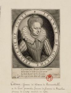 Jeanne-Françoise de Coeme, Lady of Lucé and Bonnétable