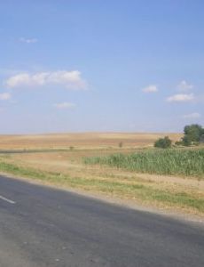 Little Hungarian Plain