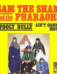 Wooly Bully