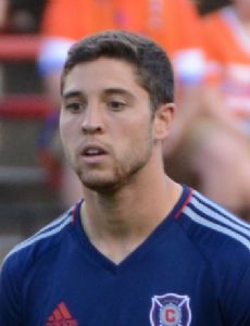 Matt Polster