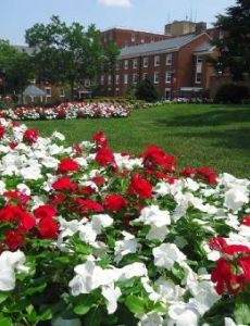 Rutgers Day
