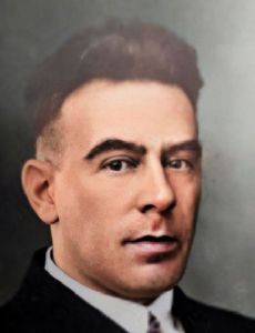 Toon van Welsenes