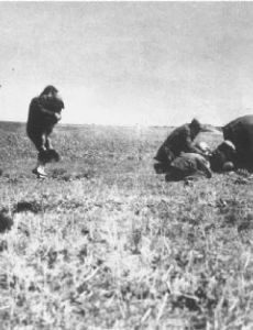 The Holocaust in Ukraine