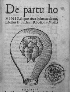 Thomas Raynalde