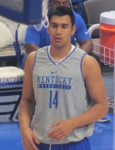 Tai Wynyard