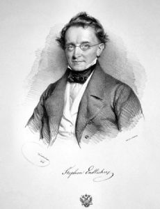 Stephan Endlicher