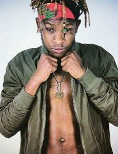 Gemini Major