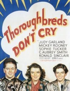 Thoroughbreds Don't Cry