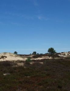 Drents-Friese Wold National Park