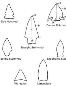 Projectile point