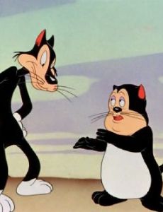 Babbit and Catstello