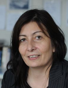 Ingrid Wildi Merino