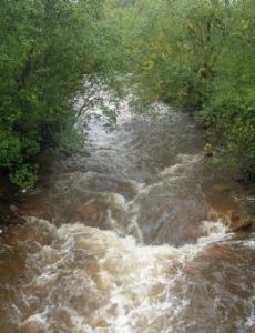 Queen River, Tasmania