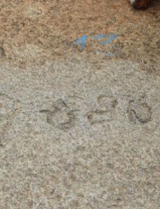 Ranna