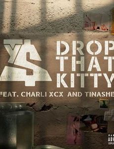 Drop That Kitty