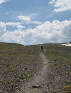 Jedediah Smith Wilderness