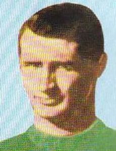 Mirko Stojanović