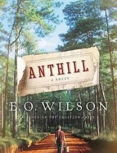 Anthill: A Novel