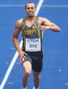 Amr Ibrahim Mostafa Seoud