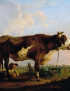 Balthasar-Paul Ommeganck