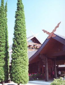Doi Tung
