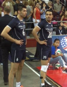 Alireza Mobasheri