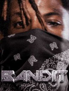 Bandit