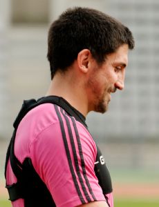 Paul Williams (rugby union)