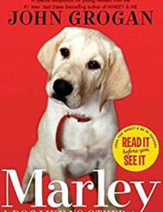 Marley the Dog