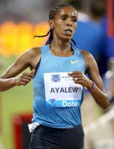 Hiwot Ayalew