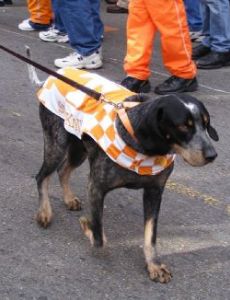 Smokey (mascot)