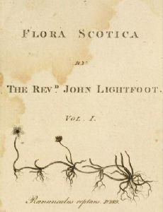John Lightfoot (biologist)