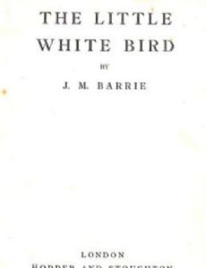 The Little White Bird