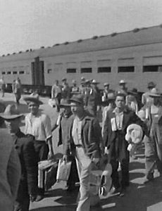 Bracero program