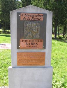 Liviu Cornel Babeş