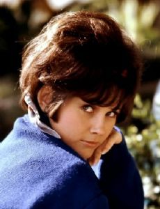 Nancy McNeil