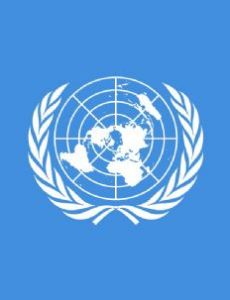 United Nations Security Council Resolution 2087