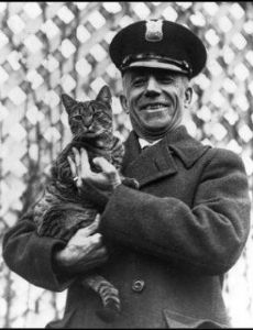 Tiger (White House Pet)