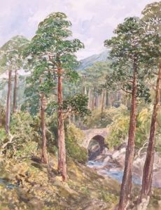 Mary Balfour Herbert