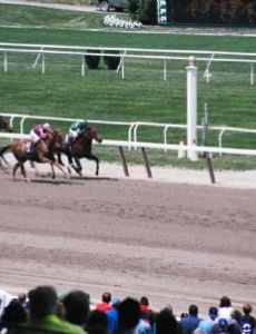 Belmont Stakes
