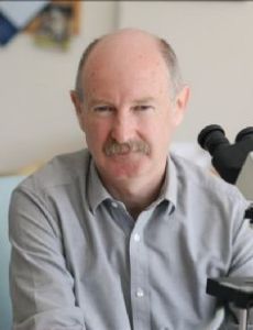 Rafael Yuste