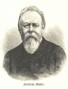 Friedrich Müller (linguist)