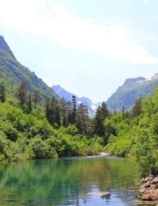 Caucasus mixed forests